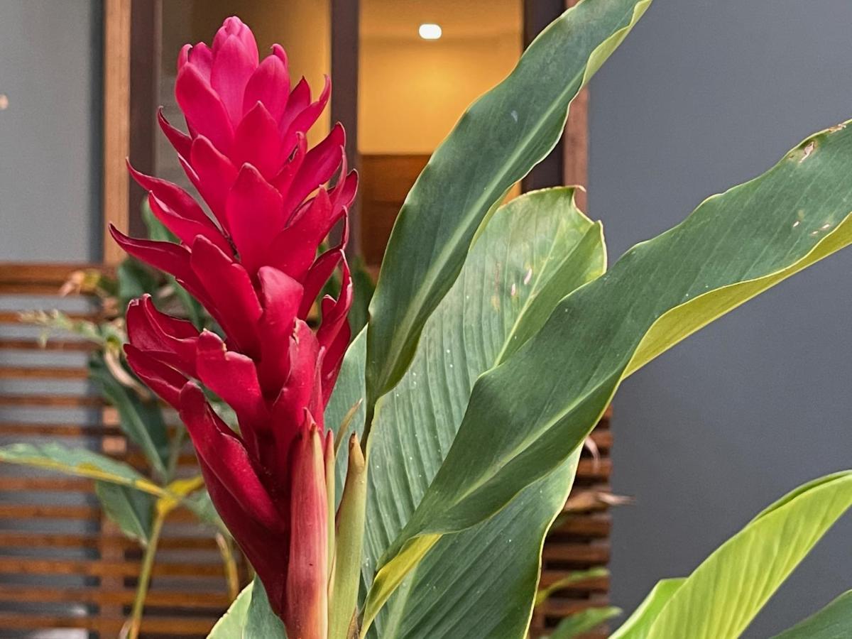 Pousada Vila Ipuan باوبا المظهر الخارجي الصورة